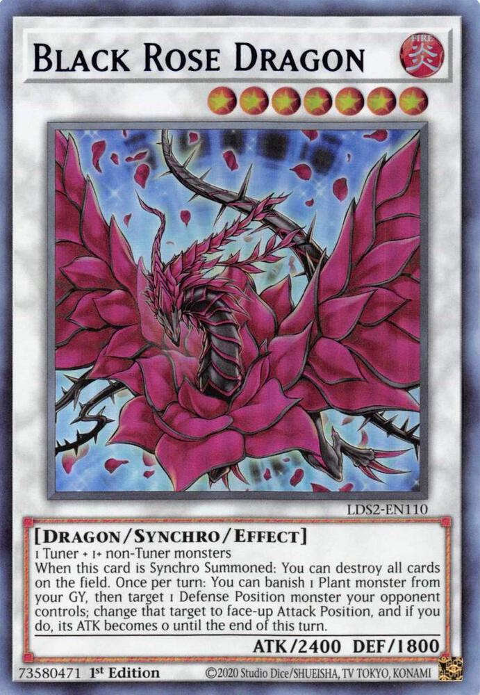 Black Rose Dragon