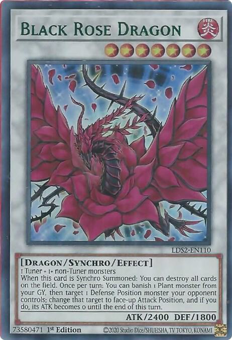 Black Rose Dragon