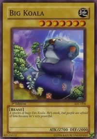 Big Koala