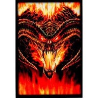 Max Protection Card Sleeves Balrog Card Sleeves - Small (60-Pack)