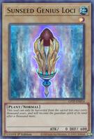Sunseed Genius Loci - Ghosts From the Past - YuGiOh