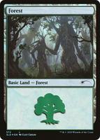 Forest (572) - Secret Lair Drop Series - Magic: The Gathering