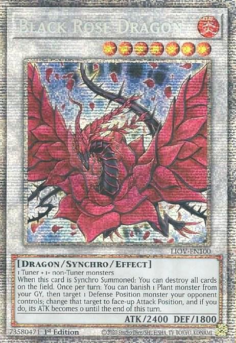 Black Rose Dragon