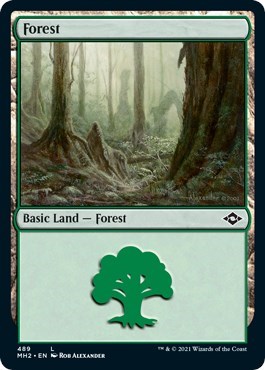 Forest (489) (Foil Etched)