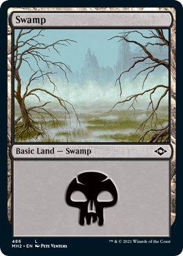 Swamp (486) (Foil Etched)