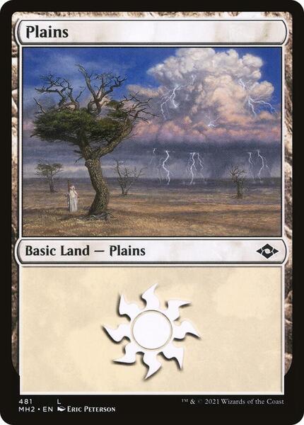 Top 5 Best and Worst Basic Lands in MTG | TCGplayer