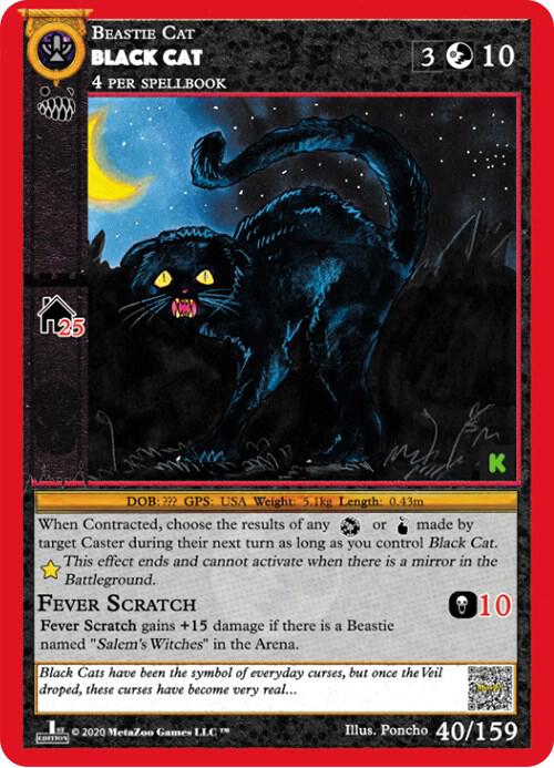 Black Cat