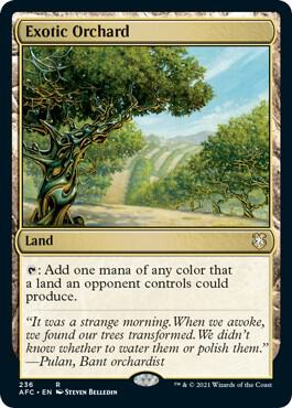 Exotic Orchard 236 card
