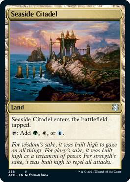 Seaside Citadel 258 card
