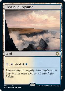 Skycloud Expanse 261 card