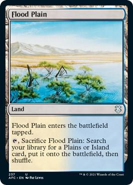 Flood Plain 237 card