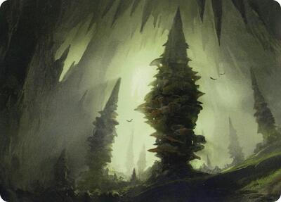 Forest (55/81) Art Card
