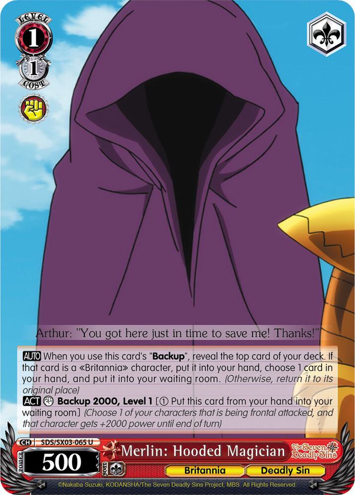 Merlin: Hooded Magician