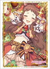 Bushiroad Sleeve Collection HG Vol.2801: Princess Connect! Re:Dive - Rin (60-Pac · Bushiroad Card Sleeves