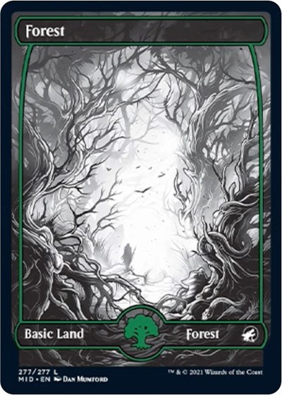 Forest (277)