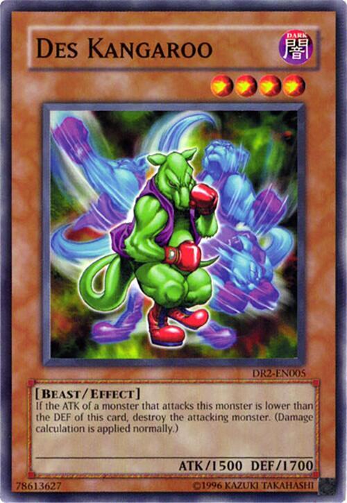 Des Kangaroo