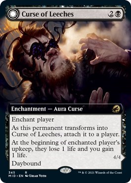 Curse of Leeches (Extended Art)