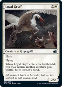 Loyal Gryff (Innistrad: Midnight Hunt)