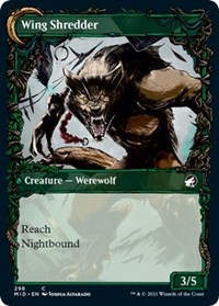 Bird Admirer (Showcase) - Back of card