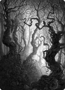 Forest Art Card