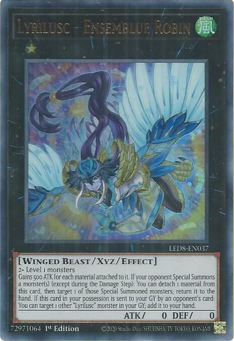 Lyrilusc - Ensemblue Robin