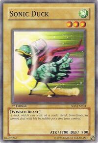 Sonic Duck