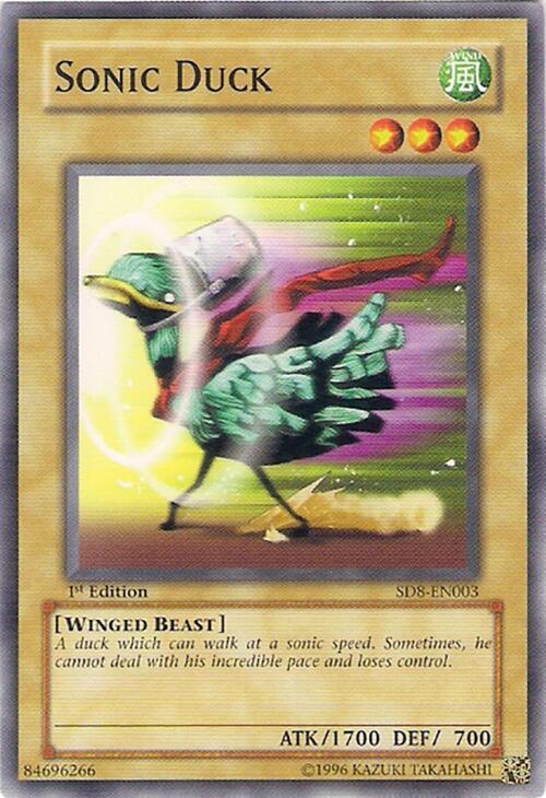 Sonic Duck