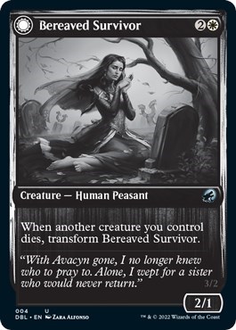 Bereaved Survivor