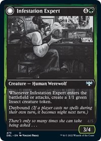 Infestation Expert