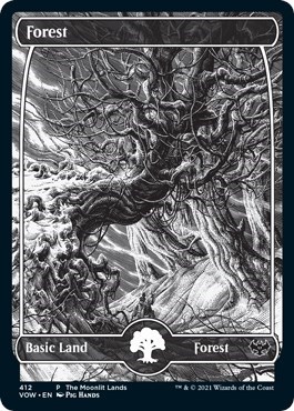 Forest Moonlit Land Foil Etched