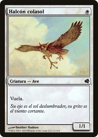 Suntail Hawk Spanish Halcon colasol