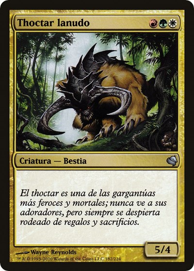 Woolly Thoctar Spanish Thoctar lanudo