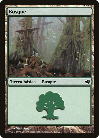 Forest Spanish Bosque