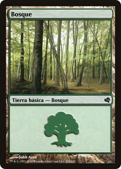 Forest Spanish Bosque