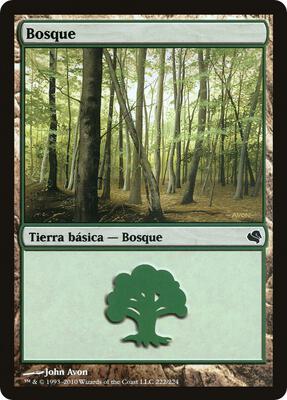 Forest (Spanish) - "Bosque"