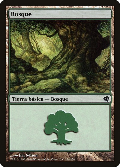 Forest Spanish Bosque