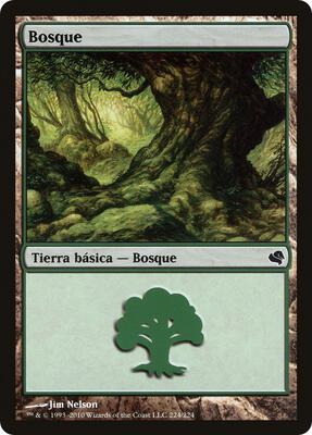 Forest (Spanish) - "Bosque"