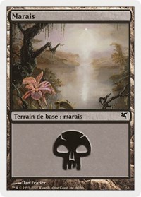 Swamp (French) - "Marais" (E60)