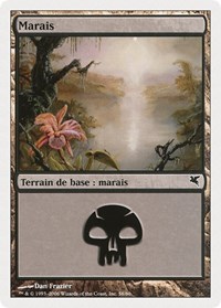 Swamp (French) - "Marais" (A58)