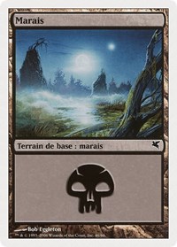 Swamp (French) - "Marais" (F46)
