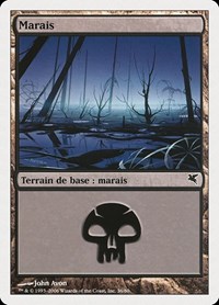 Swamp (French) - "Marais" (A36)