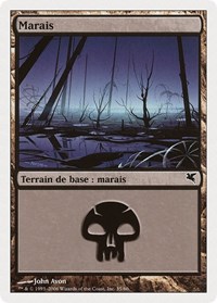 Swamp (French) - "Marais" (F35)