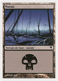 Swamp (French) - "Marais" (D34)