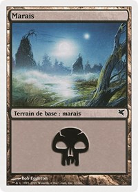 Swamp (French) - "Marais" (D33)