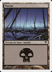 Swamp (French) - "Marais" (F24)