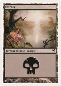 Swamp (French) - "Marais" (A24)