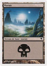 Swamp (French) - "Marais" (A23)
