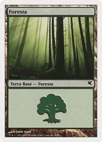 Forest (Spanish) - "Bosque" (K8)