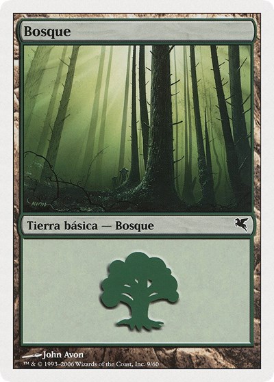Forest Spanish Bosque