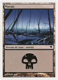 Swamp (French) - "Marais" (A21)